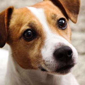 Meet your Posher, Steffie